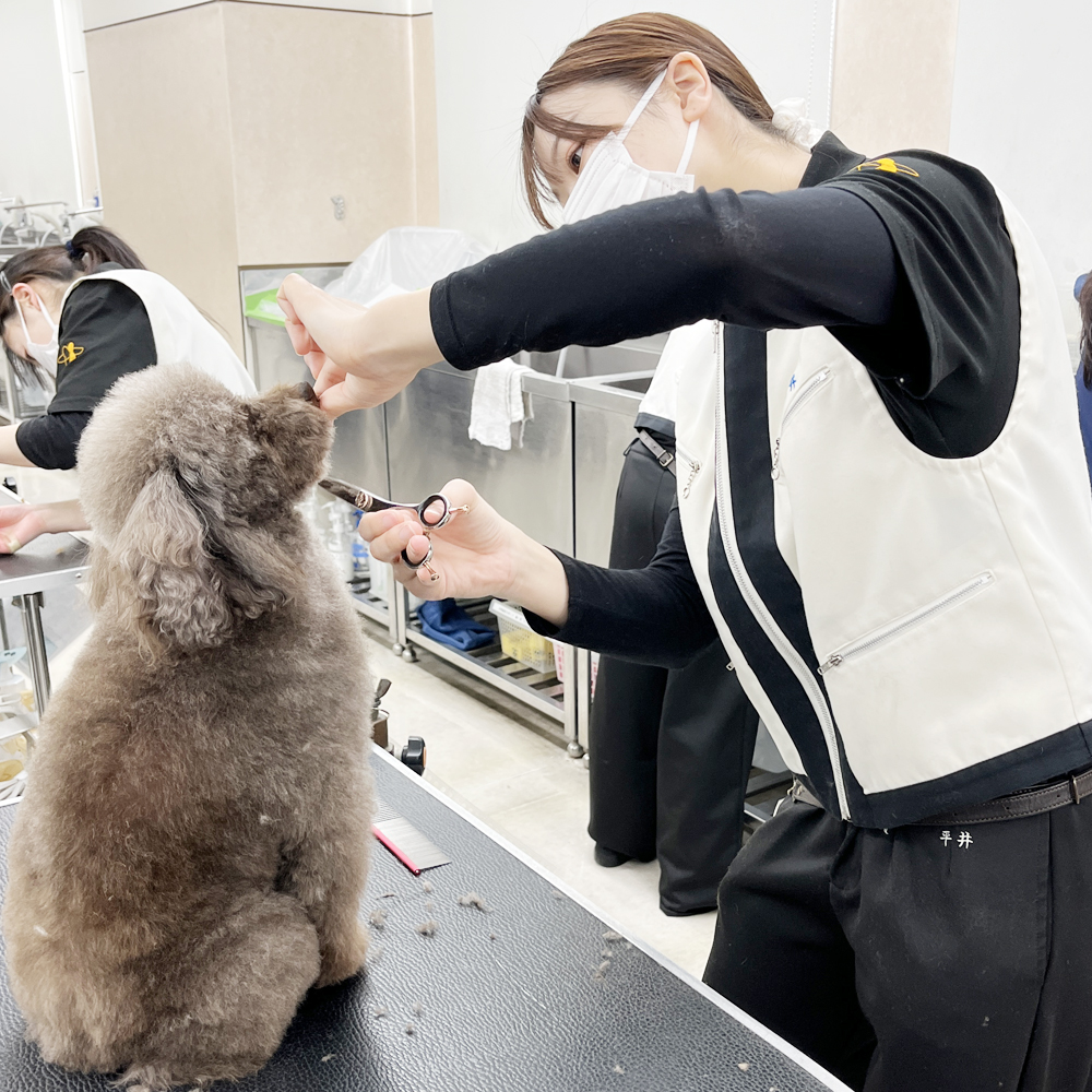 ２年生のカット中と仕上がり写真♪